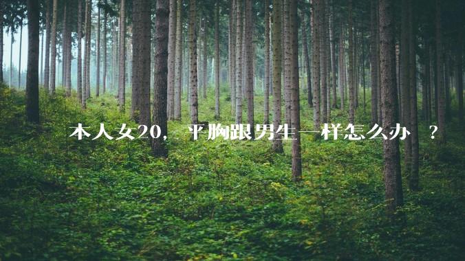 本人女20，平胸跟男生一样怎么办 ?