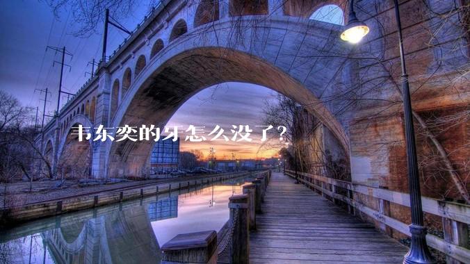 韦东奕的牙怎么没了？