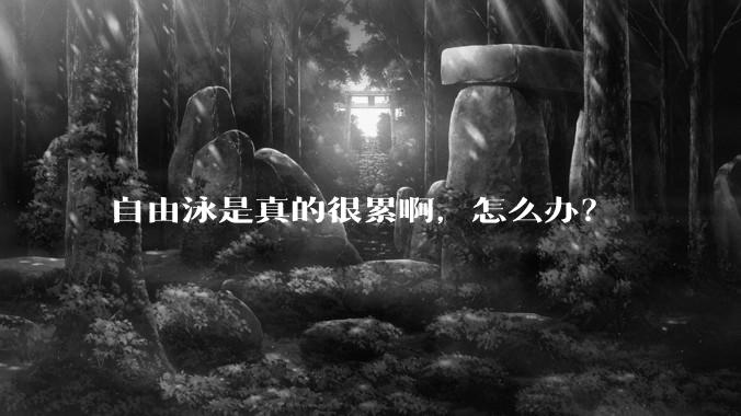自由泳是真的很累啊，怎么办？