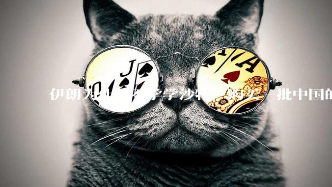 伊朗为什么不学学沙特，购买一批中国的东风导弹，威慑以色列？