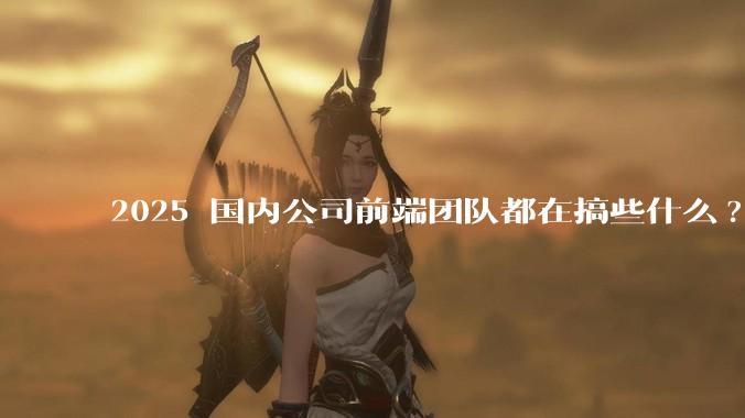 2025 国内公司前端团队都在搞些什么?