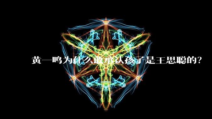 黄一鸣为什么敢承认孩子是王思聪的？