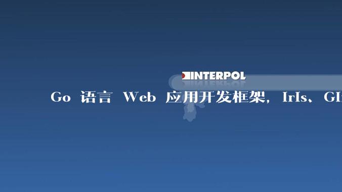 Go 语言 Web 应用开发框架，Iris、Gin、Echo，哪一个更适合大型项目？
