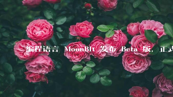 编程语言 MoonBit 发布 Beta 版，正式进入企业场景应用，会带来哪些影响？