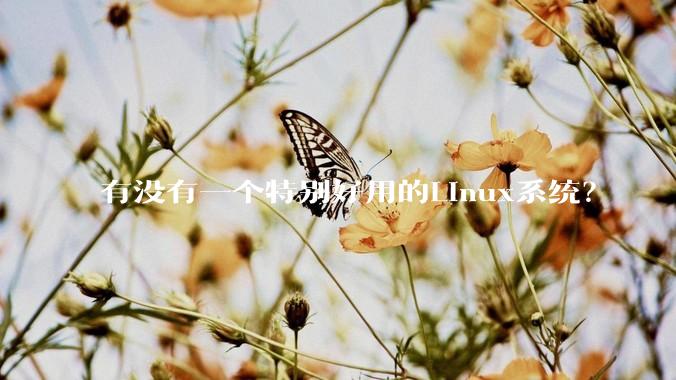 有没有一个特别好用的Linux系统？