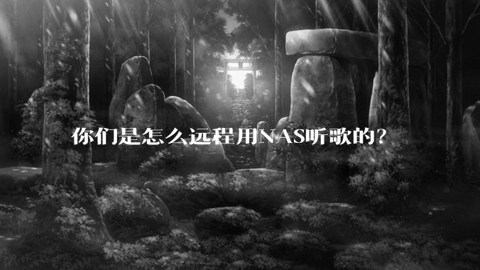 你们是怎么远程用NAS听歌的？
