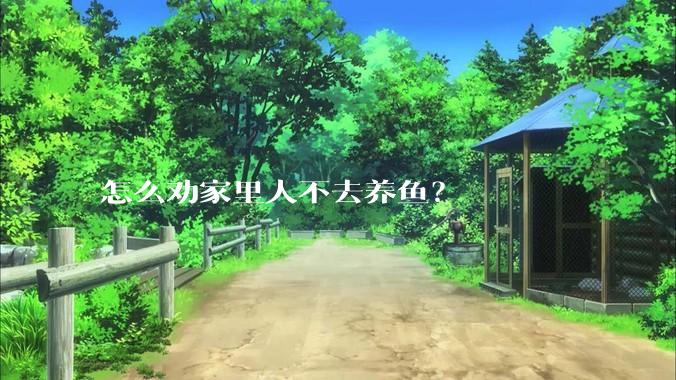 怎么劝家里人不去养鱼？