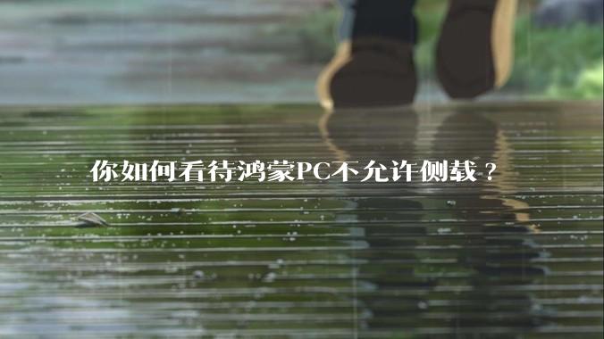 你如何看待鸿蒙PC不允许侧载?