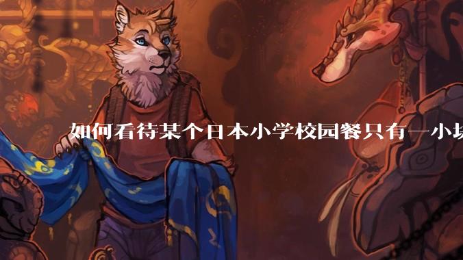 如何看待某个日本小学校园餐只有一小块鸡肉？