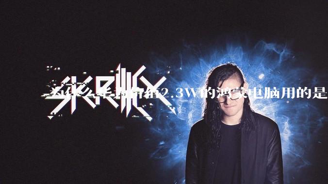 为什么华为价值2.3W的鸿蒙电脑用的是美国西数的中低固态硬盘？？