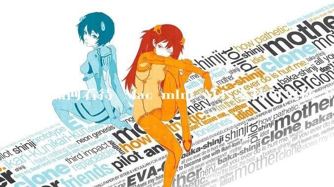 如何看待 Mac mini M4 支持可更换 SSD？