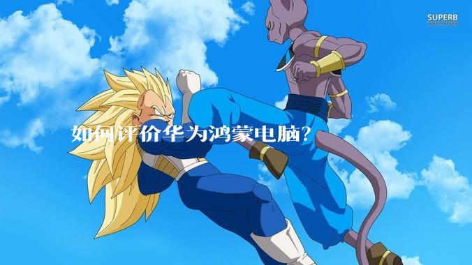 如何评价华为鸿蒙电脑？