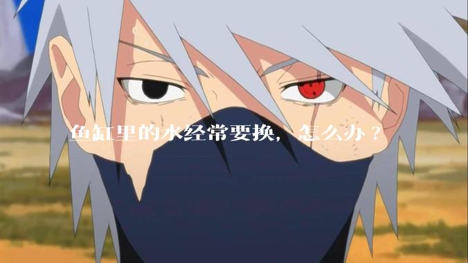 鱼缸里的水经常要换，怎么办?